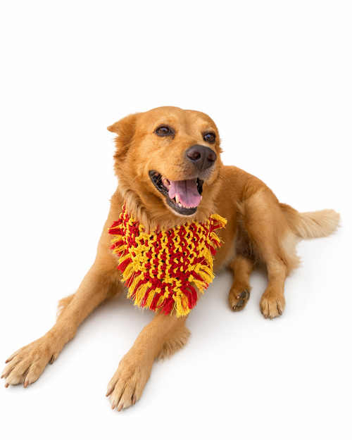 Bandana Sol Boricua